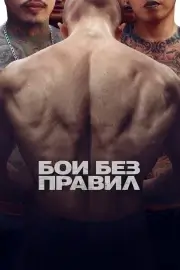 Бои без правил (2017)