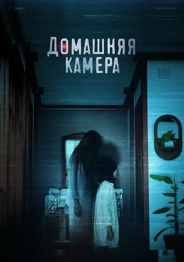 Домашняя камера (2025)