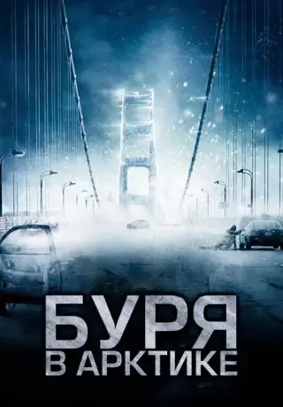 Буря в Арктике (2010)